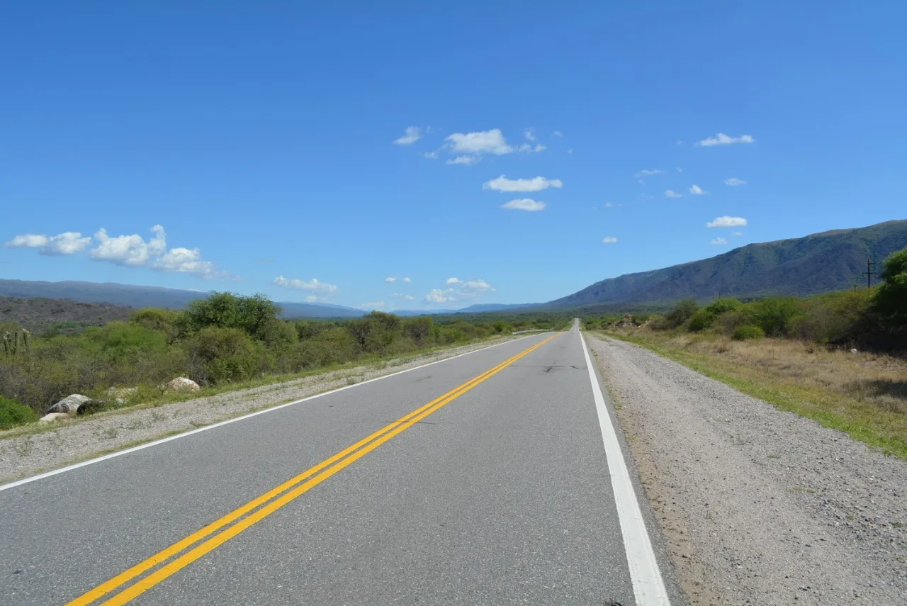 Un camión que viajaba hacia San Juan chocó contra una vaca y el conductor resultó ileso