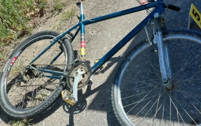 Un adolescente de 13 años murió tras un siniestro vial con un camión municipal en San Martín