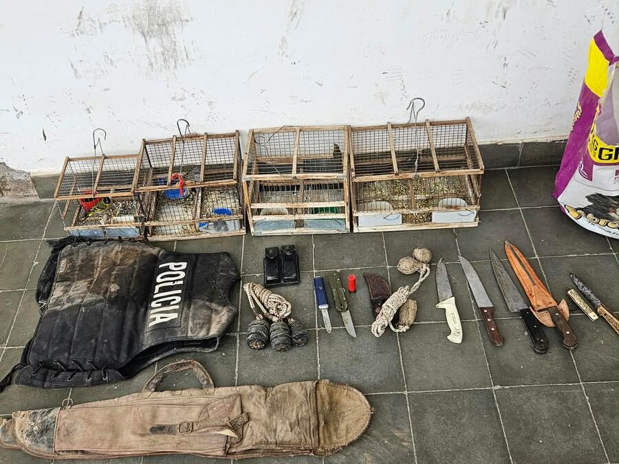 Golpe a la caza furtiva en Albardón: secuestraron carne de guanaco, aves silvestres y armas en dos allanamientos
